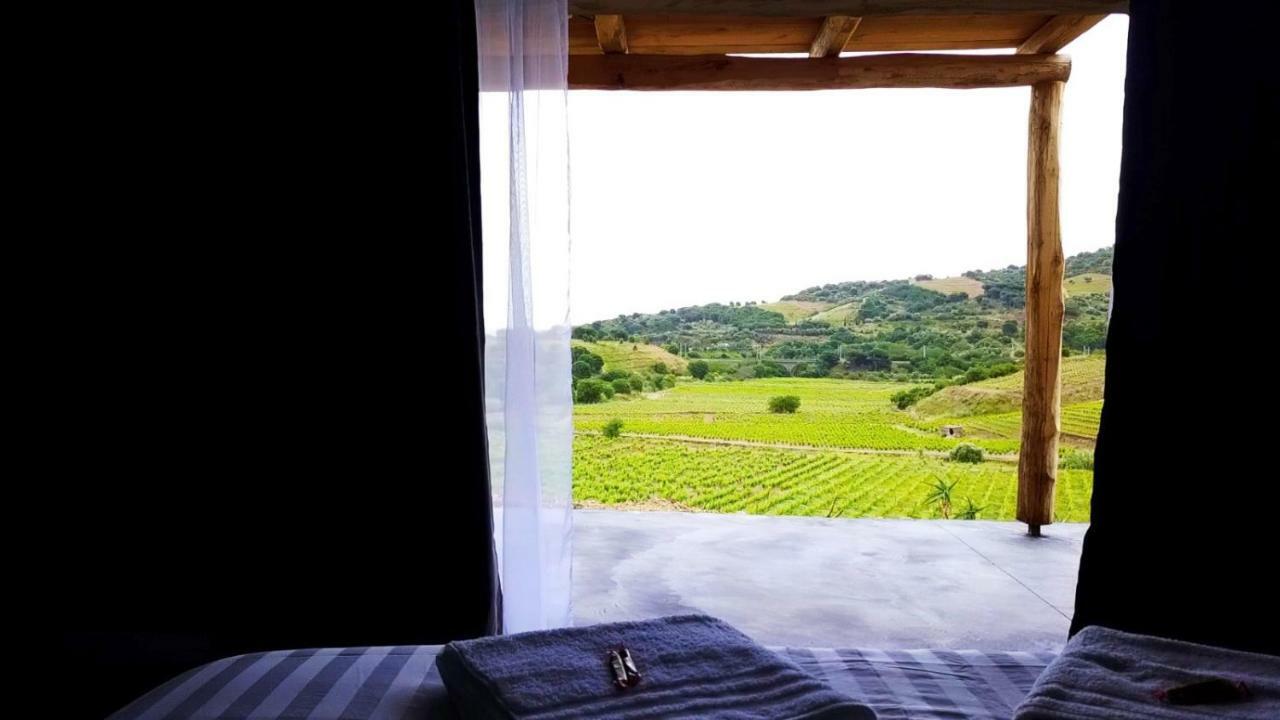 Les Cabanons De Meme Jeannette Bed & Breakfast Port Vendres Luaran gambar